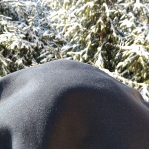 merino mikina