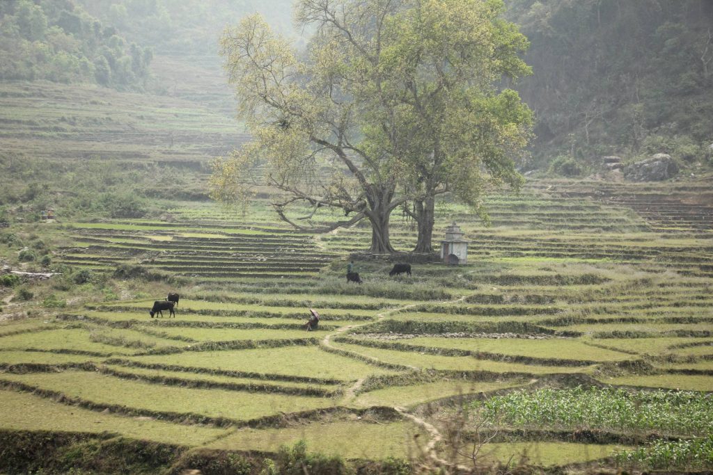 Trek pod Annapurnu