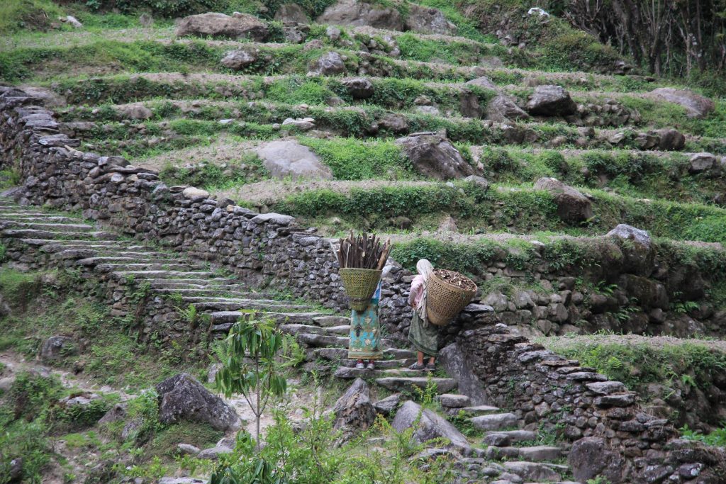 Trek pod Annapurnu