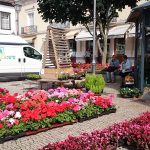 Sao Miguel - Ponta Delgada