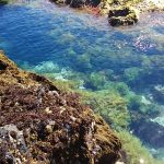 Ponta da Ferraria