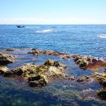 Ponta da Ferraria