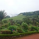 botanicka zahrada Sao Migueal