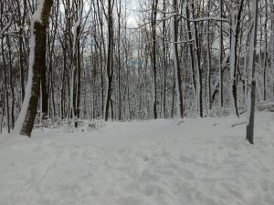 rekapitulujeme rok 2017