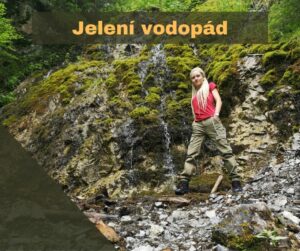 Dámske merino tričko Poruba tenké